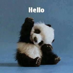 Meet your Posher, Becky